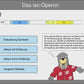 Animation lac-Operon (Schullizenz 1,1 MB)