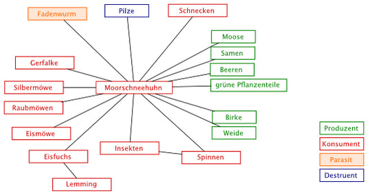 Interspezifische Beziehungen - Stationsarbeit (Einzellizenz) 117 MB