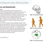 Evolution des Menschen (18 MB) - Einzellizenz